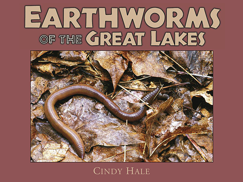 Book cover for Earthworms of the Great Lakes