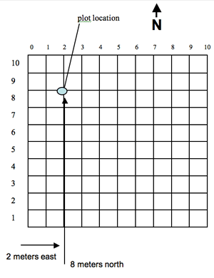 10 meter by 10 meter grid with plot location noted 2 meters from left and 2 meters from top