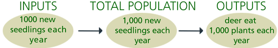 Diagram showing an input of 1000 new plants per year with an output of 1000 plant per year due to deer browsing