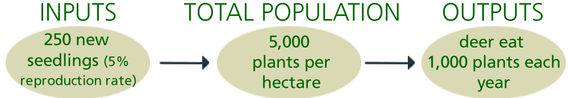 Graphic showing an input of 250 new seedlings per year (5% reproduction rate) leading to 5000 plants per hectare, with deer eating 1000 plants per year