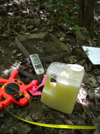 Tape measeure, gps unit, 1 foot metal square frame and jug of yellow liquid on ground